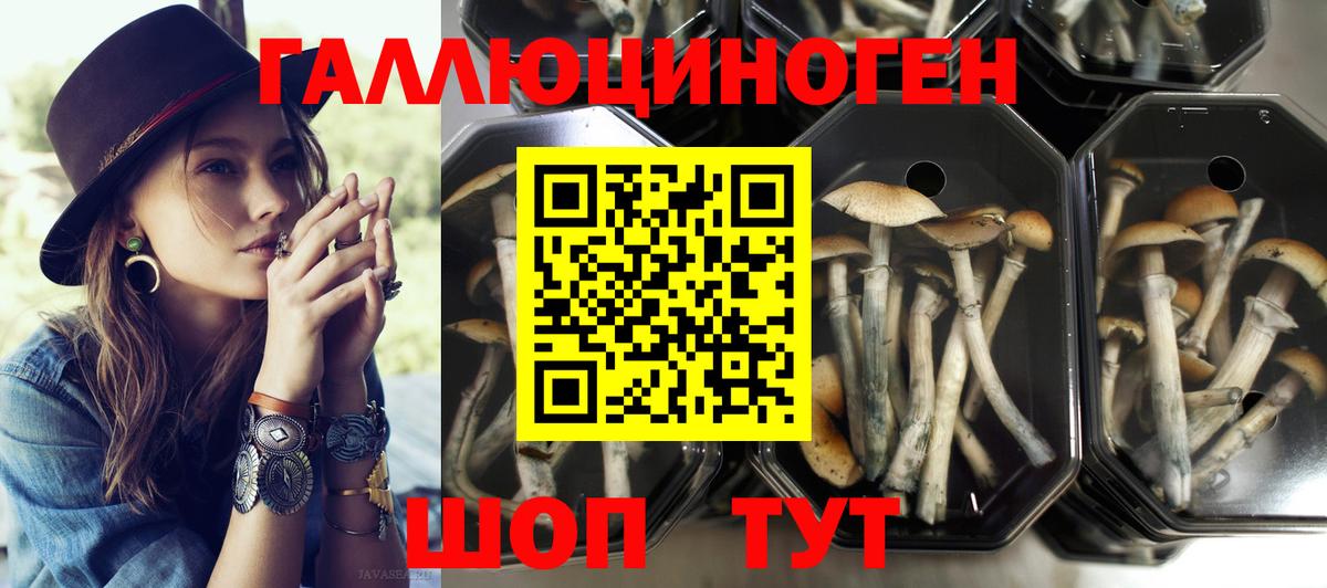 Галлюциногенные грибы ЛСД  Вход с VPN  Гагарин 